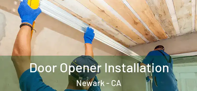  Door Opener Installation Newark - CA