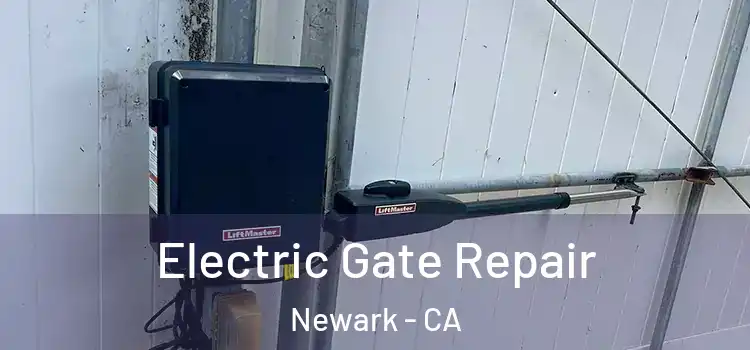 Electric Gate Repair Newark - CA