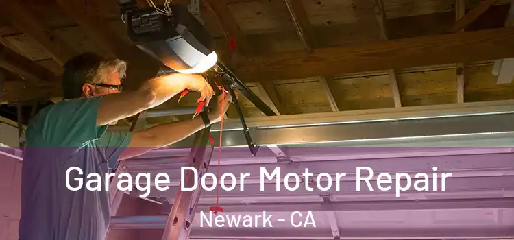  Garage Door Motor Repair Newark - CA