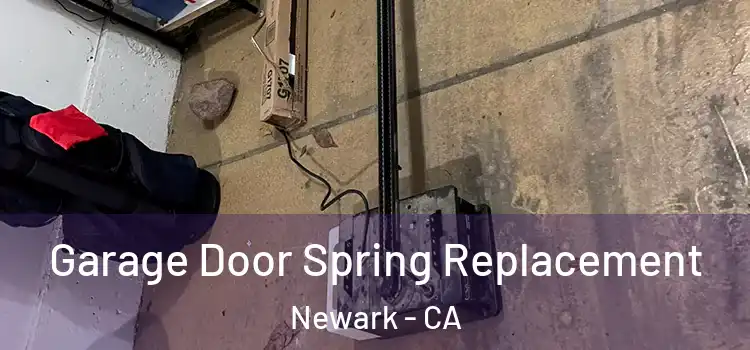  Garage Door Spring Replacement Newark - CA