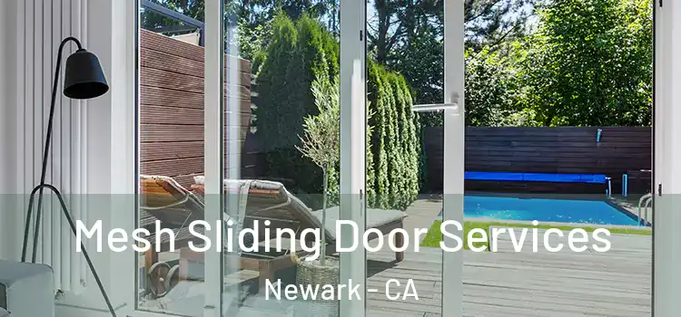  Mesh Sliding Door Services Newark - CA