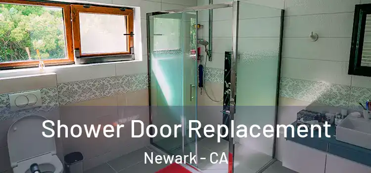 Shower Door Replacement Newark - CA