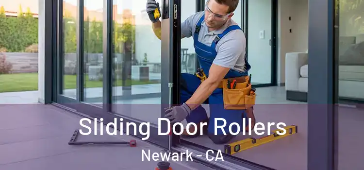 Sliding Door Rollers Newark - CA