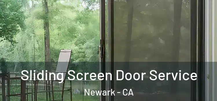 Sliding Screen Door Service Newark - CA