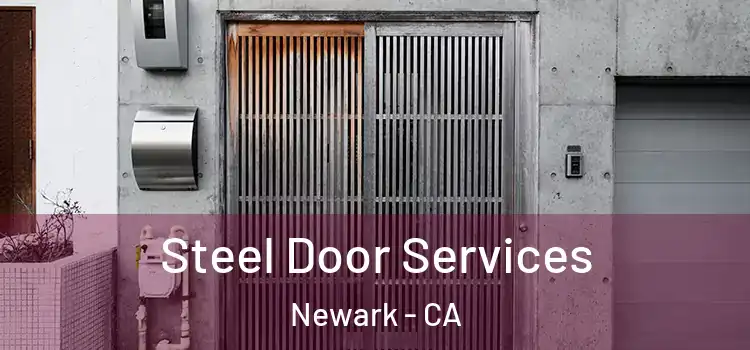 Steel Door Services Newark - CA